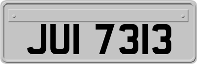 JUI7313