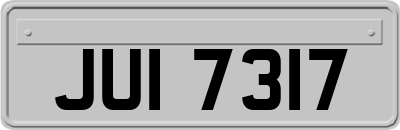 JUI7317