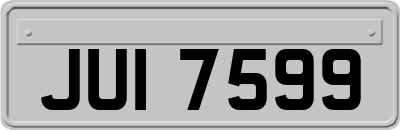 JUI7599