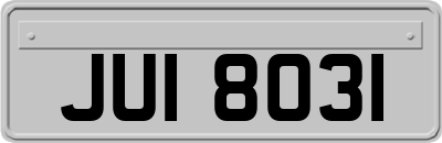 JUI8031