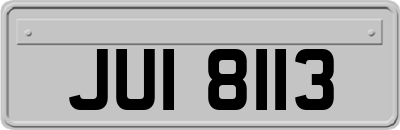 JUI8113