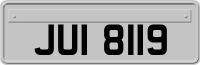 JUI8119