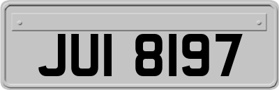 JUI8197