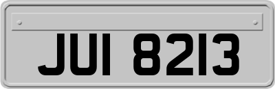 JUI8213