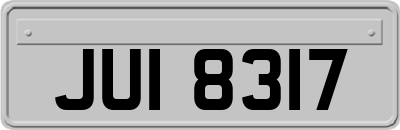 JUI8317
