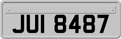 JUI8487