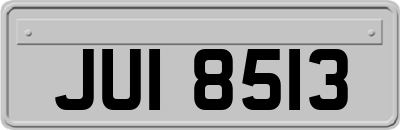 JUI8513