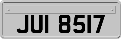 JUI8517