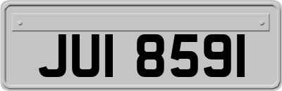 JUI8591