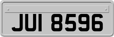 JUI8596