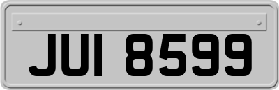 JUI8599