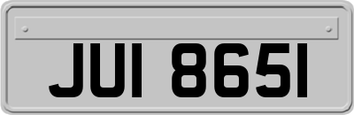 JUI8651