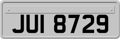 JUI8729