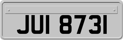 JUI8731