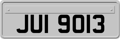 JUI9013