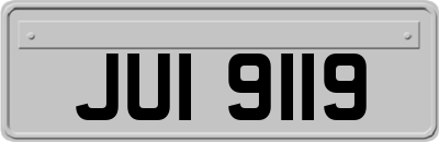 JUI9119