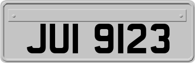 JUI9123