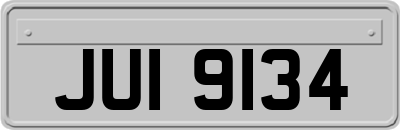 JUI9134
