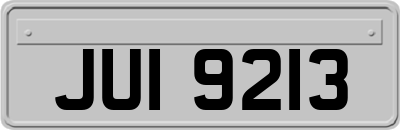 JUI9213