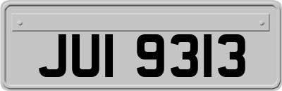 JUI9313
