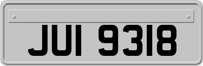 JUI9318