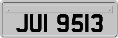 JUI9513