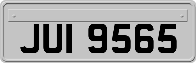 JUI9565