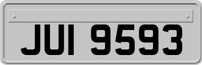 JUI9593