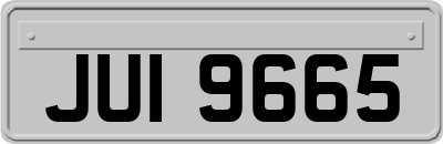 JUI9665
