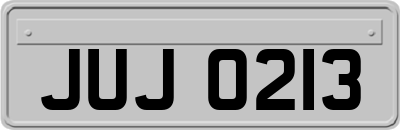 JUJ0213