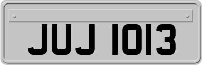 JUJ1013
