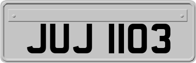 JUJ1103