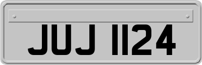 JUJ1124