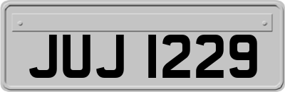 JUJ1229