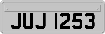 JUJ1253
