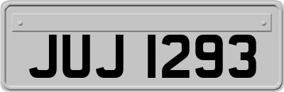 JUJ1293