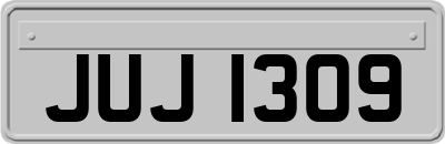 JUJ1309