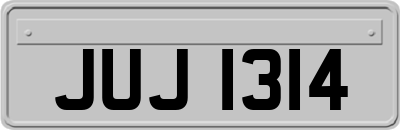 JUJ1314
