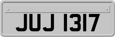 JUJ1317