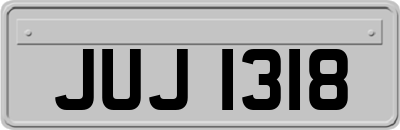 JUJ1318