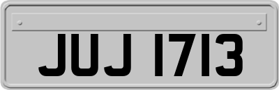 JUJ1713