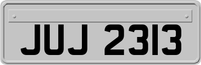 JUJ2313