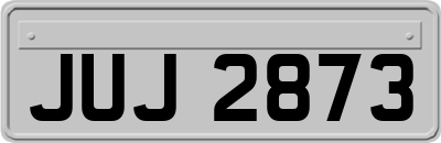 JUJ2873