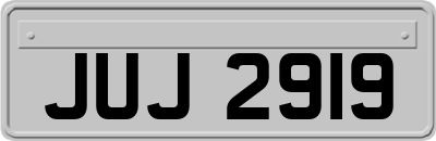 JUJ2919