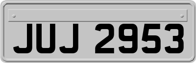 JUJ2953