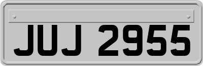 JUJ2955