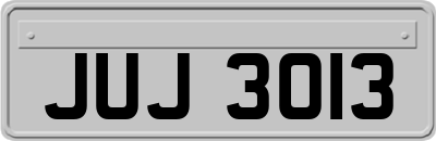JUJ3013