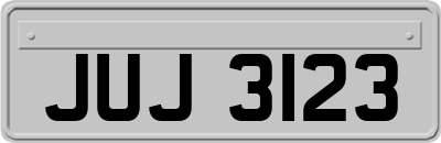 JUJ3123