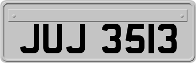 JUJ3513
