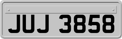 JUJ3858